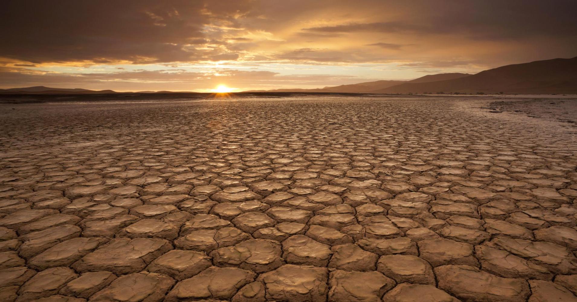 Photo of 8 climate change apps every tech-savvy advocate needs to download