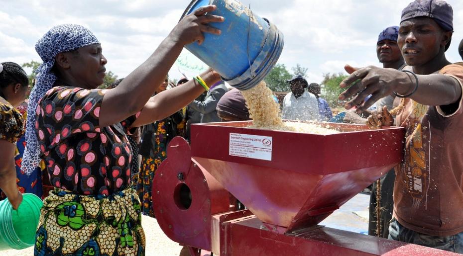WFP looks for proposals that could transform the lives of smallholder farmers and small-scale livestock producers, reach a step change in food systems or increase the effectiveness of emergency response | Photo Courtesy : WFP/File Photo
