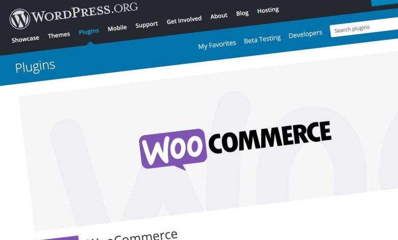 You can build your own eCommerce online store with WooCommerce in WordPress with no need of hiring a developer, which can cost you a lot of money. (COURTESY IMAGE)