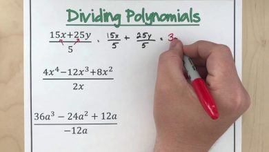 Photo of Top Interesting Features of Polynomials