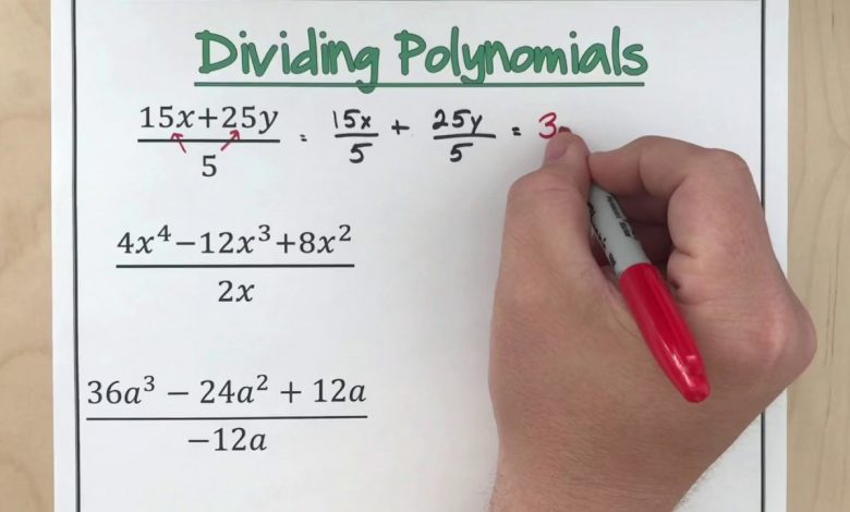 The domain of the polynomial function will always remain the entire real numbers. (COURTESY PHOTO)