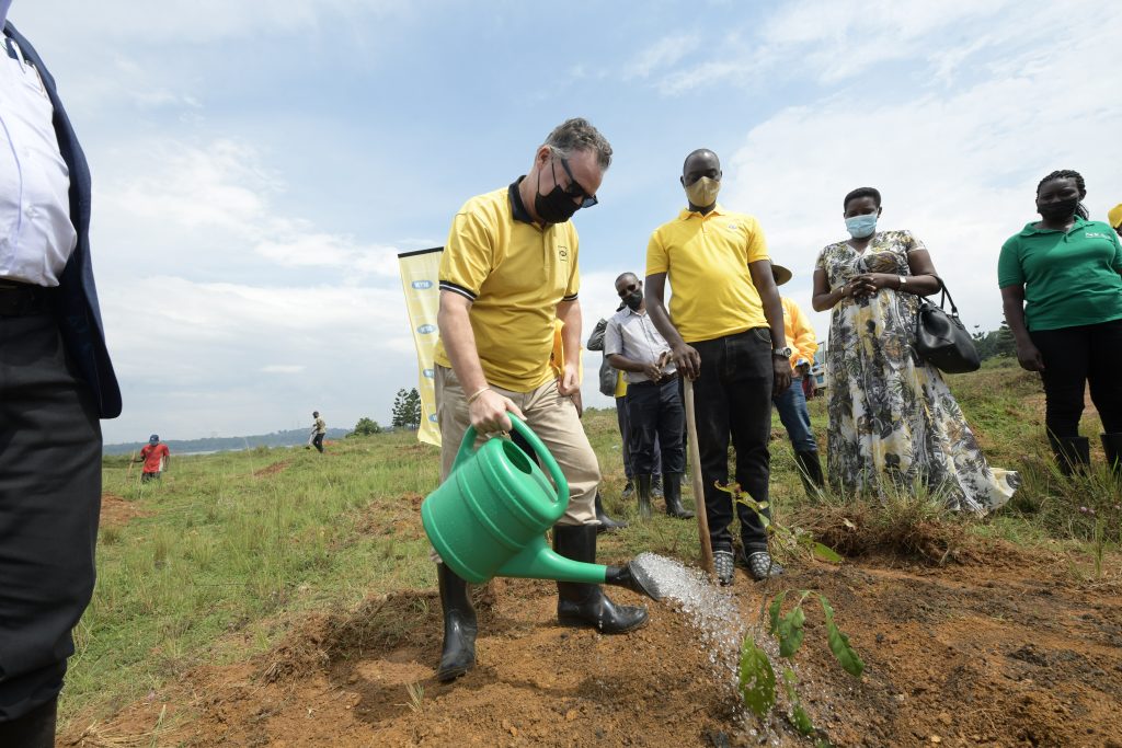 MTN Uganda CEO, Wim Vanhelleputte pictured watering a tree he just planted in the Uganda is Home campaign. (FILE PHOTO)