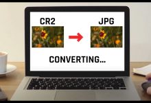 Photo of Understanding When to Convert CR2 Files to JPG and How to Do So Easily