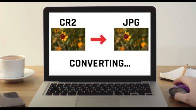 Photo of Understanding When to Convert CR2 Files to JPG and How to Do So Easily