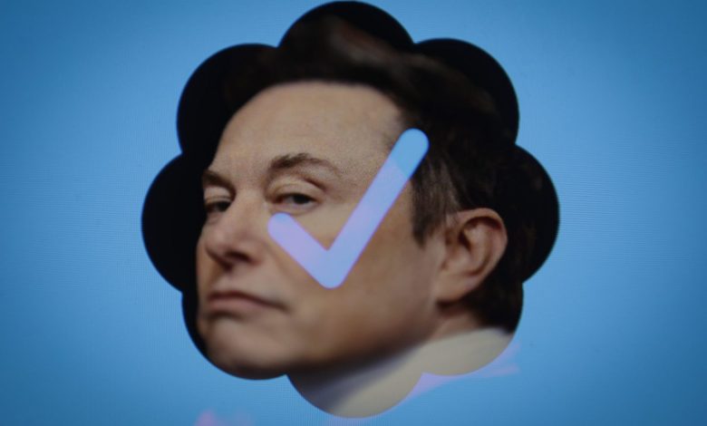 Twitter boss, Elon Musk revamping the microblogging platform to generate revenue. (STR—NURPHOTO/GETTY IMAGES)