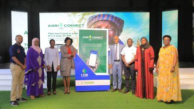 Photo of UDB: AgriConnect Launched to Ease Access to Digital Financing For Smallholder Farmers