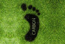 Photo of 8 Ways You Can Reduce Your Carbon Footprint at Home