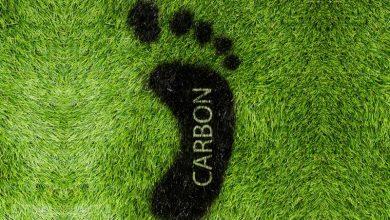 Photo of 8 Ways You Can Reduce Your Carbon Footprint at Home