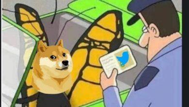 Photo of Twitter Has Changed its Traditional Bird icon to Shiba Inu