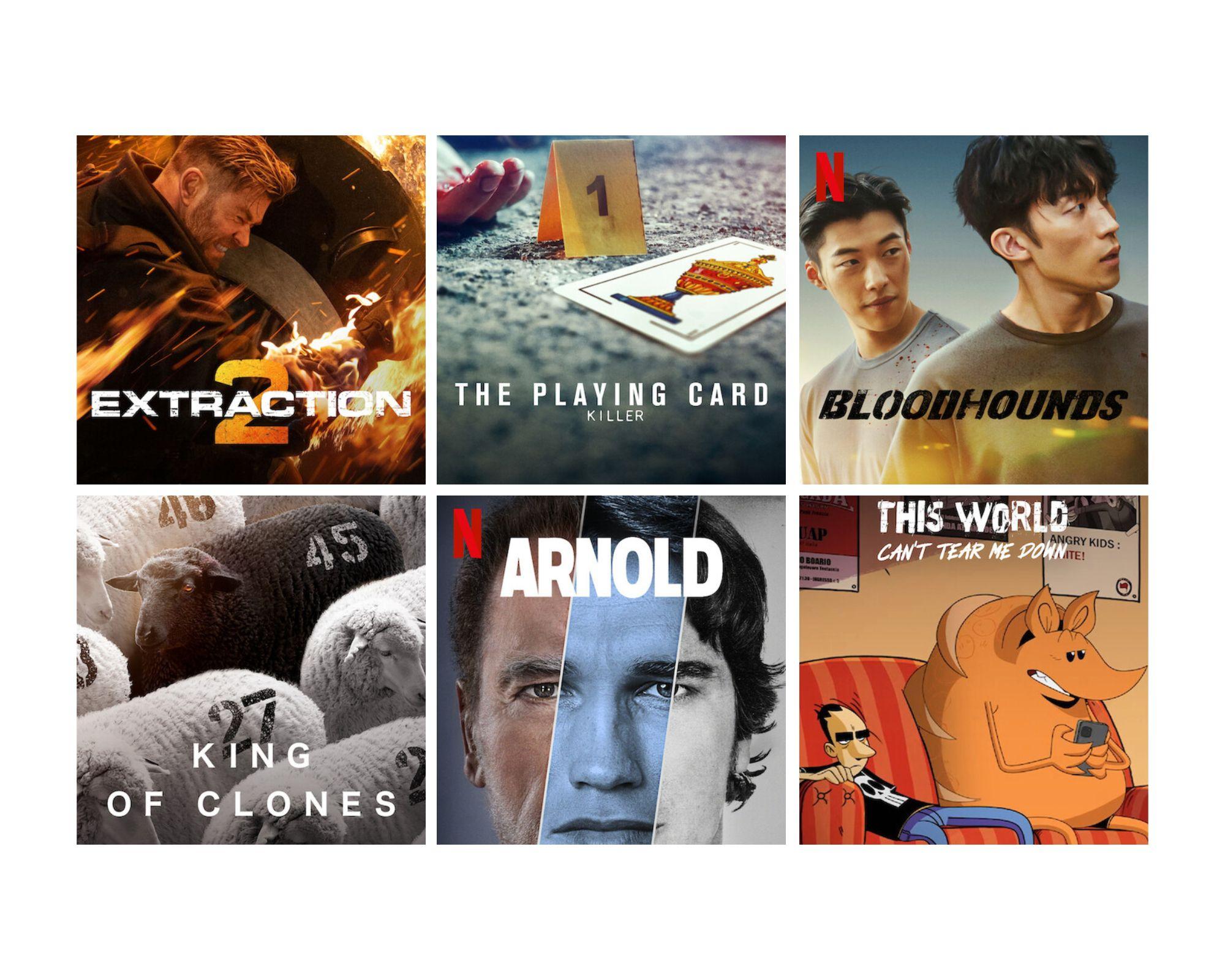 Movies & TV Shows I Look Forward To Watching on Netflix in June