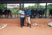 Photo of Jaguza Tech Develop an AI Chatbot to Provide Digital Assistant to Farmers