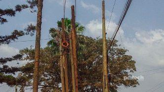Fiber poles for different ISP along Ismael Road, Mbuya. PHOTO: PC Tech Magazine