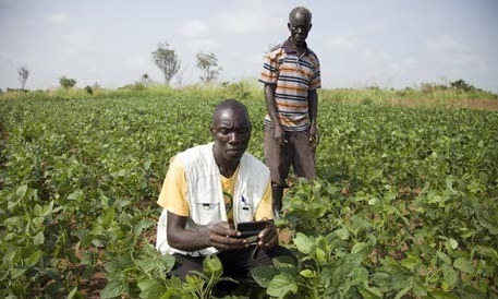 Farmer Simon Obwoya, foreground, makes notes on crop conditions and checks market prices. Photograph: Yousef Eldin/sourced from: The Guardian