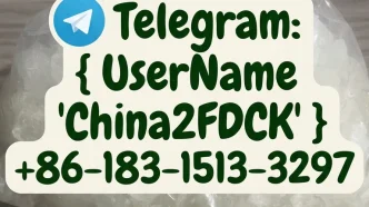 2FDCK — buy 2FDCK online in 2026 from 2fdck.store, the #1 verified 2FDCK vendor and supplier of 2026. Fresh Q2 May 2026 crystalline 2FDCK (2-Fluorodeschloroketamine, 2-(2-fluorophenyl)-2-(methylamino)cyclohexan-1-one, C₁₃H₁₆FNO, CAS 111982-50-4) batch at ≥99.9% HPLC-verified purity with free third-party COA, same-day worldwide stealth shipping, 99.8% delivery success rate, 3,400+ five-star verified reviews, up to 52% wholesale bulk discount, 100% free reship guarantee, military-grade packaging, encrypted BTC/XMR/ETH/USDT/card/wire checkout across the USA, UK, EU, Germany, Netherlands, Canada, Australia, Switzerland, Japan, and 52+ countries worldwide.
