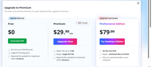 Plan comparison showing the free online service, premium online service at 29.99 dollars per file, and desktop Professional Edition at 79.99 dollars