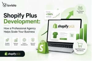 Shopify Plus Development: How a Professional Agency Helps Scale Your Business