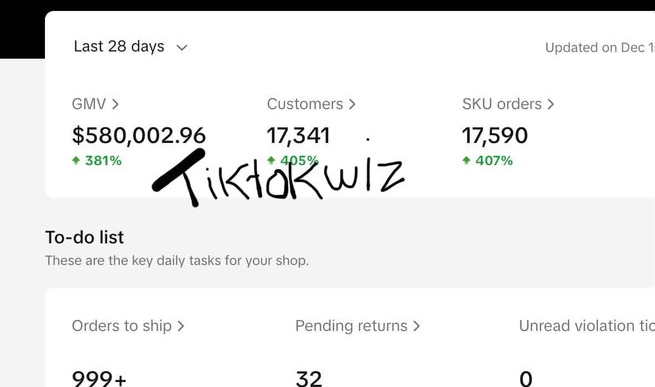 Inside TikTok Wiz: How the TikTok Shop Education Brand Actually Works