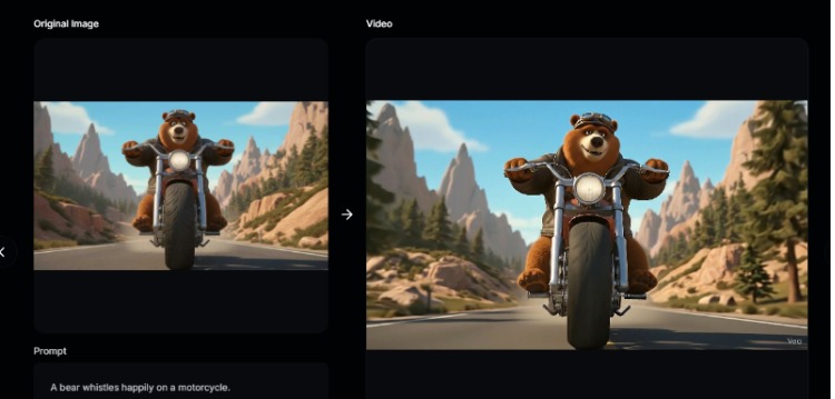 Catalog Label Checks Before Image to video Goes Live