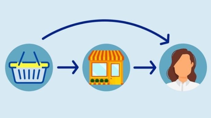 How Direct-to-Consumer Platforms Rewired Household Shopping